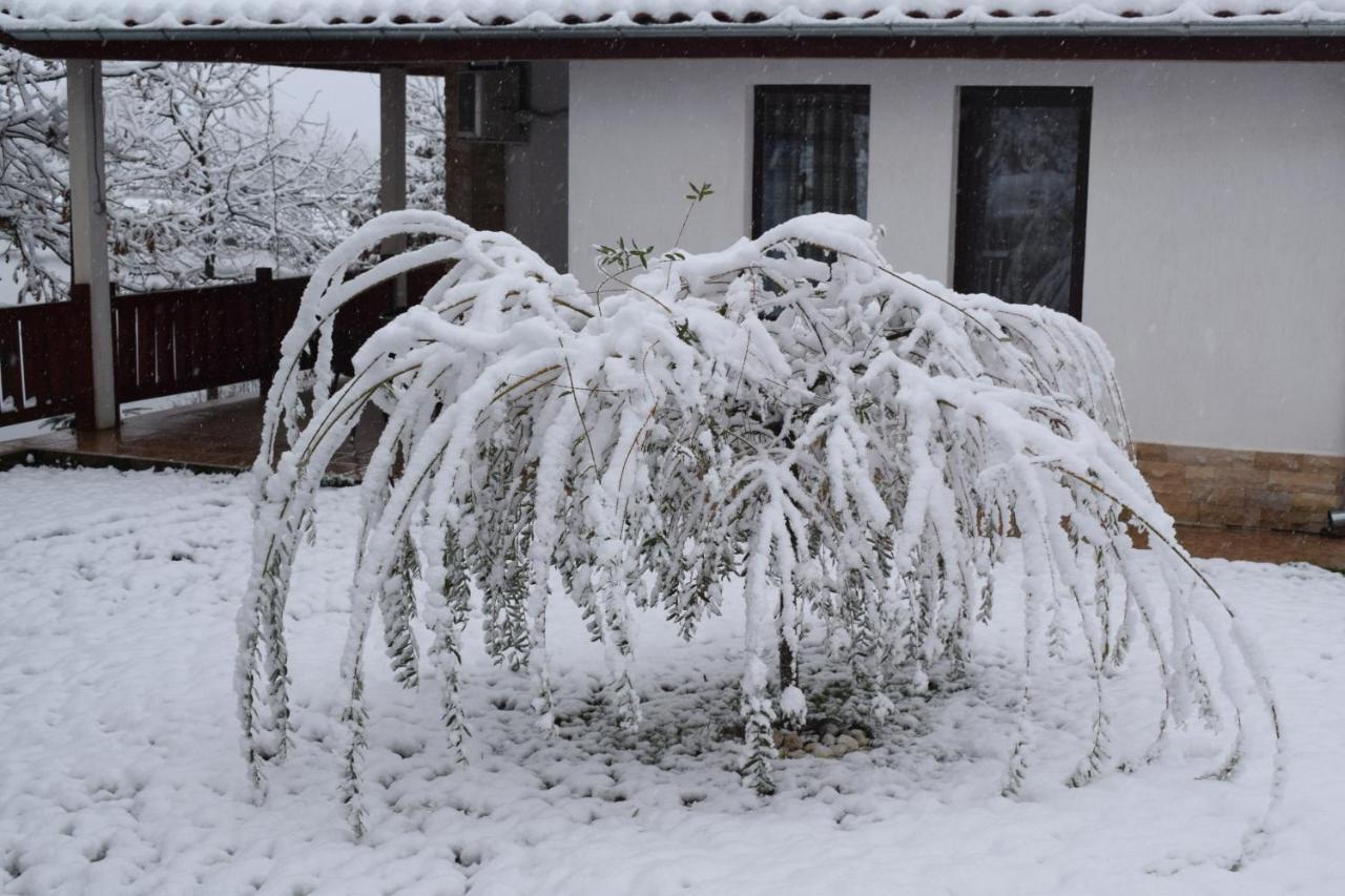 Two Villas Kirkovo เกียร์โกโว ภายนอก รูปภาพ